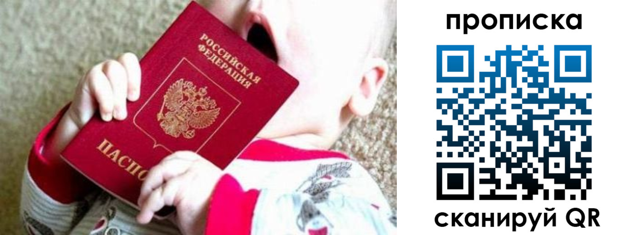 прописка законно в Жукове
